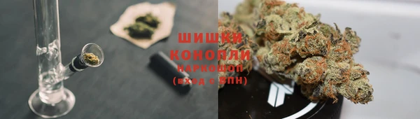 амф Белокуриха