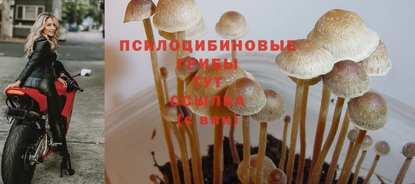 амф Белокуриха