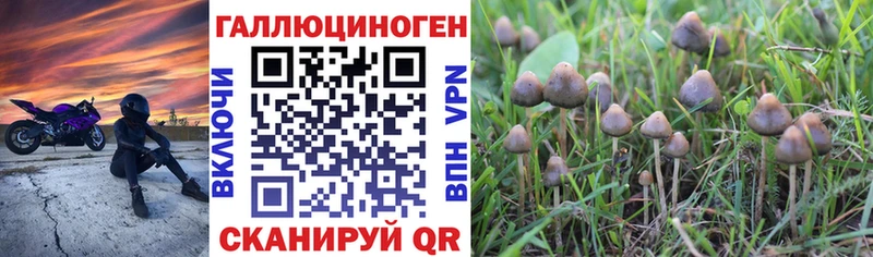 Галлюциногенные грибы мицелий  МЕГА   Верхотурье 